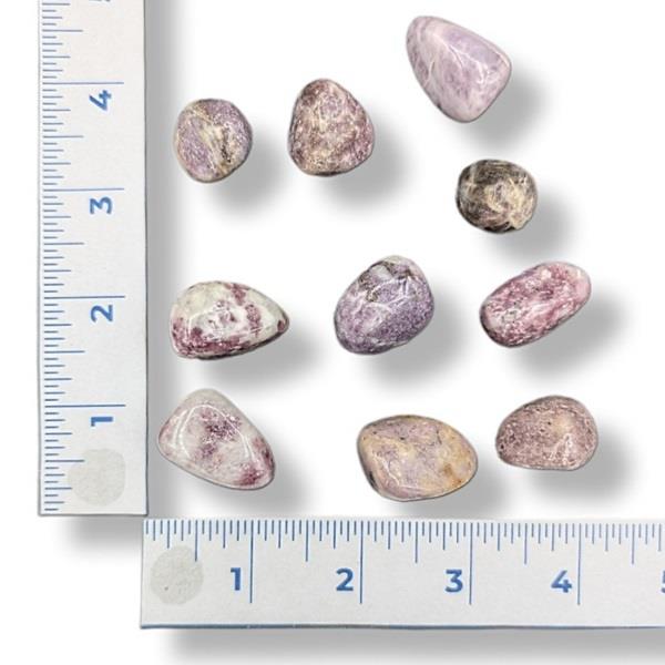 Lepidolite tumbled stones on a white background with rulers for scale
