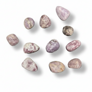 Lepidolite tumbled on a white background