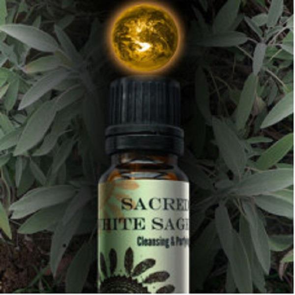 World Magic Oil Sacred White Sage