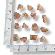 Set of brown reddish stones next to a ruler on a white background