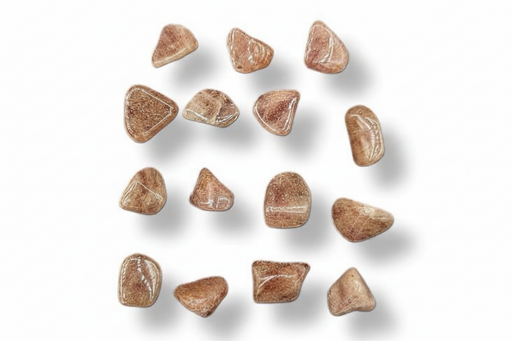 Twelve polished brown reddish tumbled stones arranged in a loose grid on a white background with soft drop shadows.