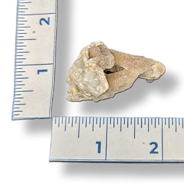 Witches Finger Cluster 16g Approximate