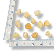 Small stones or pebbles with a ruler for scale on a white background