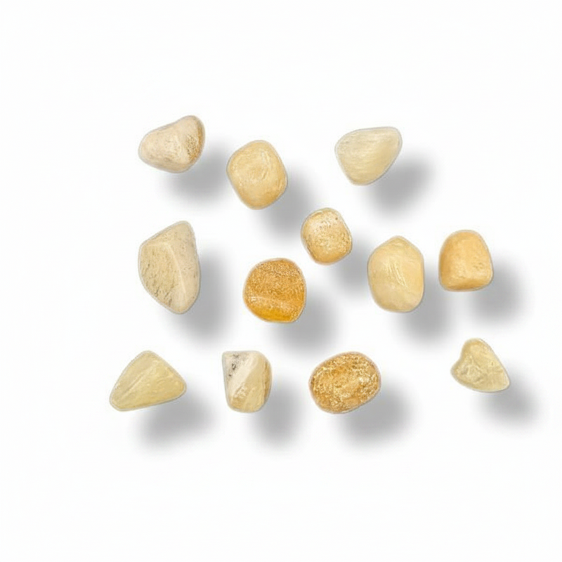 Ten small, irregular polished orange calcite pieces in pale cream, beige, and warm yellow tones arranged on a white background with soft drop shadows.