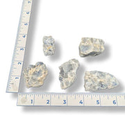 Five rough blue calcite of various sizes on a white background with a ruler for scale.