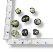 Greenish-brown stones on a white surface with a ruler for scale.