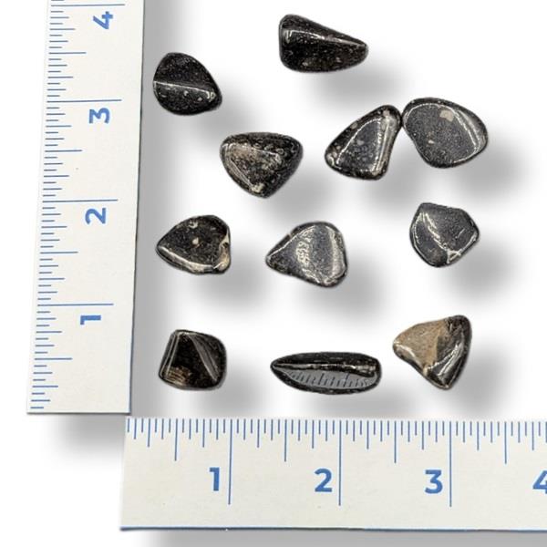 Vatican Stone Tumbled