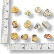 Gold and silver tumbled stones displayed on a white surface with a ruler for scale.