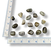 Mineral samples on a white background with a ruler for scale.