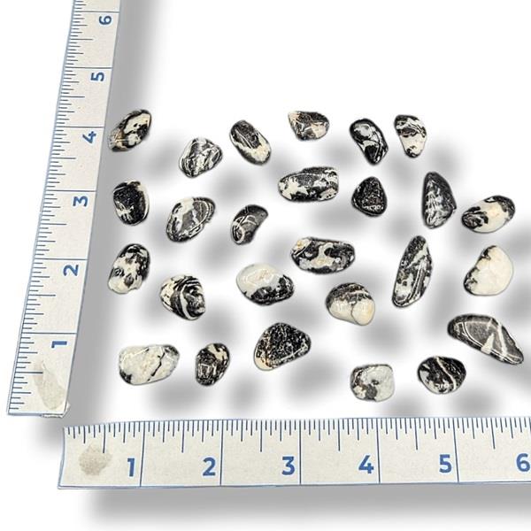 Zebra Jasper Tumbled