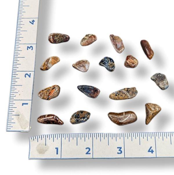 Pietersite Tumbled