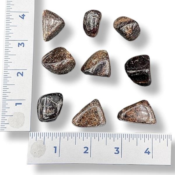 Tumbled Garnet stones  with a ruler for scale on a white background