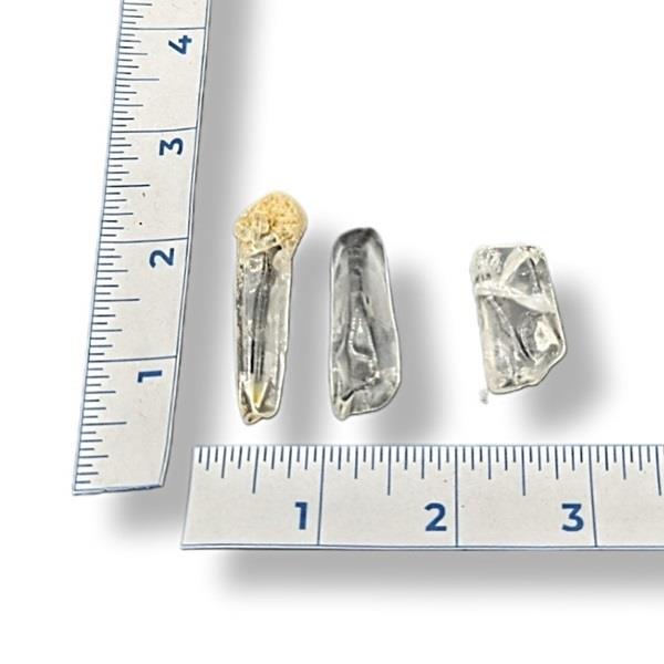 Lemurian Quartz Point 8g Approximate