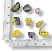 Assorted colorful rocks next to a ruler on a white background