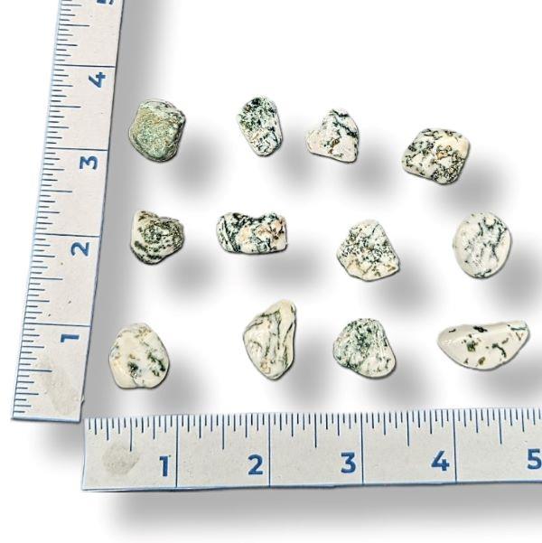 Tree Agate Tumbled