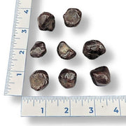 Nine dark red stones on a white background with a ruler for scale.