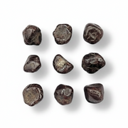 Nine dark red stones on a white background .