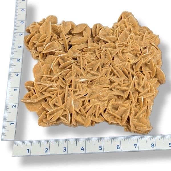 Desert Rose Gypsum Cluster 1508g Approximate