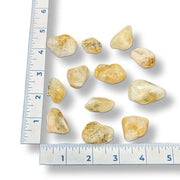 Rocks on a white background with a ruler for scale