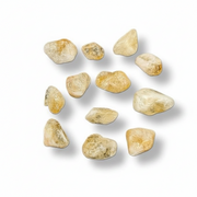 Gold stones on a white background