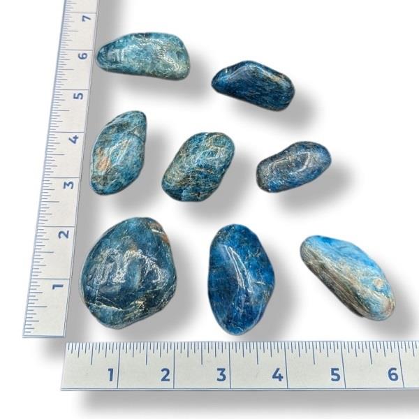 Blue Apatite Tumbled Large