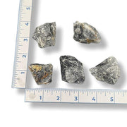 Five rocks of various sizes on a white background with a ruler for scale.