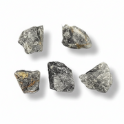 Five rough, irregular gray stones or mineral pieces arranged on a plain white background with soft drop shadows.