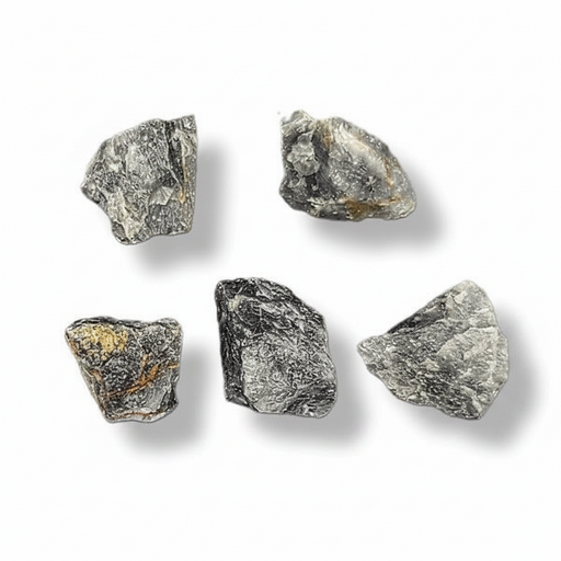 Five rough, irregular gray stones or mineral pieces arranged on a plain white background with soft drop shadows.