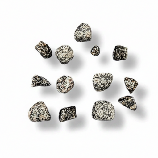 A set of small irregular polished stones  in a mottled black and white pattern, arranged on a plain white background with soft drop shadows.
