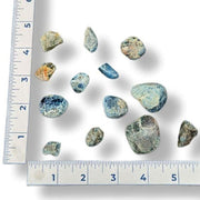 Blue Apatite Tumbled  with a ruler for scale on a white background