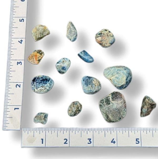 Blue Apatite Tumbled