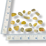 Yellow fluorite on a white background with a ruler for scale.