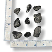 Black blizzard stone on a white background with a ruler for scale.