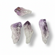 Four raw amethyst crystal points in various shapes, showing natural purple and clear translucent gradients, arranged on a white background with soft drop shadows.