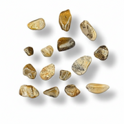 A group of small polished tumbled stones in warm tan, cream, brown, and gray tones, arranged on a white background with soft drop shadows.
