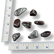 Set of rocks on a white background with a ruler for scale
