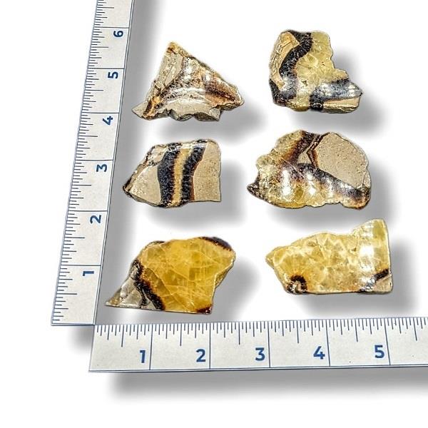 Septarian Chunks