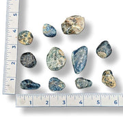 Set of rocks with a ruler for scale on a white background
