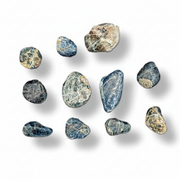 A set of tumbled apatite in shades of blue, gray, beige, and white, arranged on a plain white background with soft drop shadows.