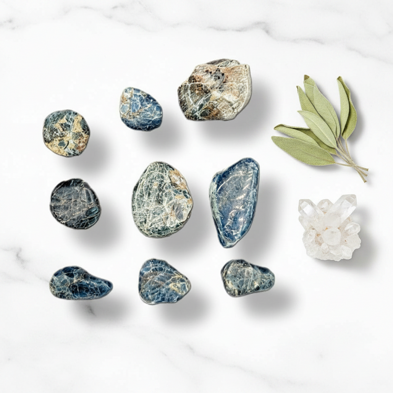 A flat-lay arrangement of polished blue apatite tumbled stones on a white marble background, styled with a green sage sprig and a white crystal cluster.