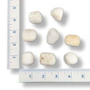 White stones on a white background with a ruler for scale.