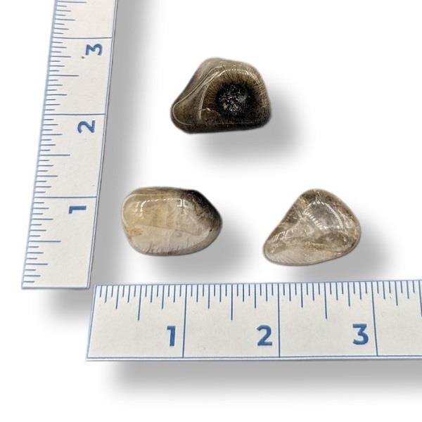 Quartz Crystal Graphite Tumbled