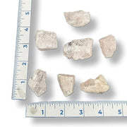 Set of rocks with a ruler for scale on a white background