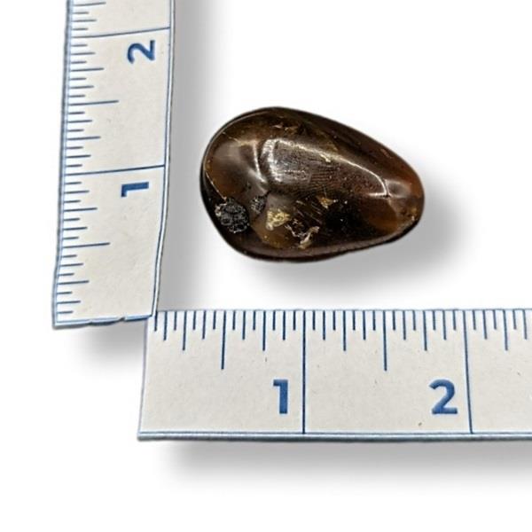 Amber Tumbled 6g Approximate
