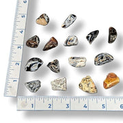 Collection of various gemstones on a white background with a ruler for scale.