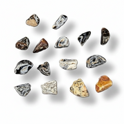 A set of polished tumbled gemstone in various natural shapes and colors, including black, white, brown, and gold, arranged on a white background with soft drop shadows.