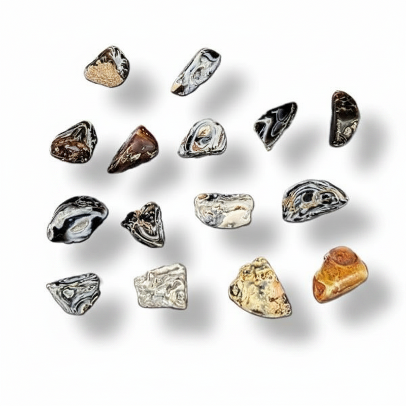 A set of polished tumbled gemstone in various natural shapes and colors, including black, white, brown, and gold, arranged on a white background with soft drop shadows.