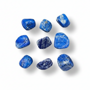 Lapis Lazuli tumbled on a white background