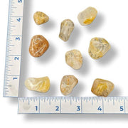 Rocks of various sizes next to a ruler on a white background