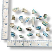 Assortment of Quantum Quattros with a ruler for scale on a white background